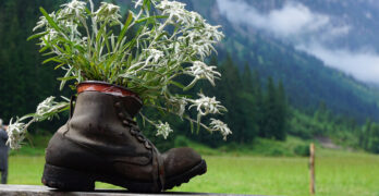 How Long Does It Take to Break in Hiking Boots