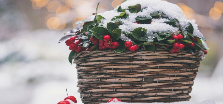 Benefits Of Snow Baskets