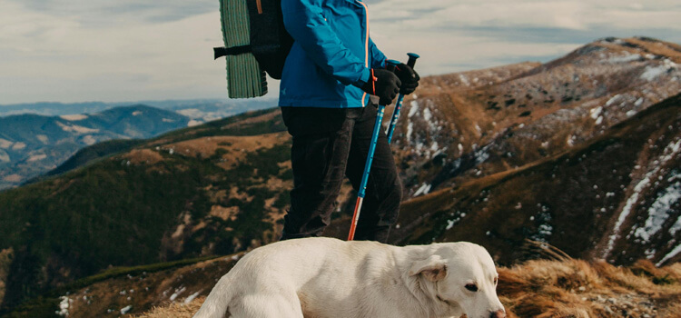 How Do Beginners Use Trekking Poles