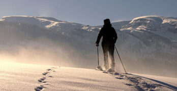 When to Use Trekking Poles