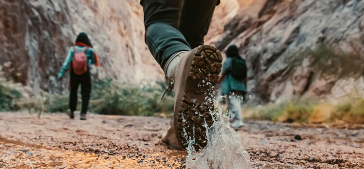 Best Hiking Boots for Bunions