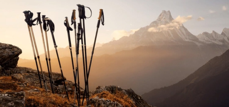 Best Budget Trekking Poles