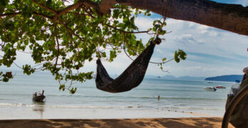 How to Hang Hammock Chair from Tree