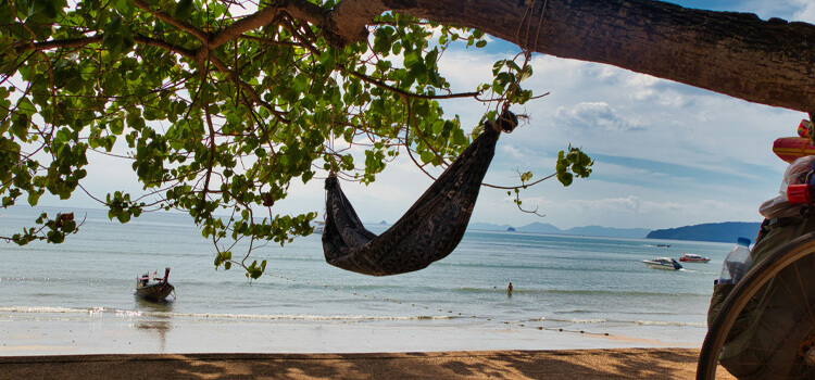 How to Hang Hammock Chair from Tree