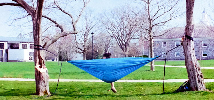 how to hang a hammock chair from a tree